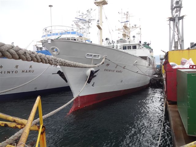 فروش کشتی تحقیقاتی ماهیگیری ژاپنی